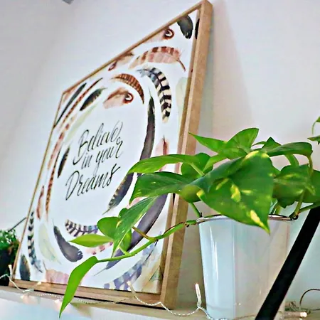 La Pause Gourmande Charme Et Confort Au Centre Apartment Molsheim