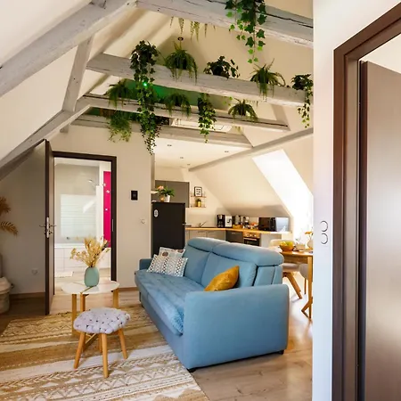 Apartman La Pause Gourmande Charme Et Confort Au Centre