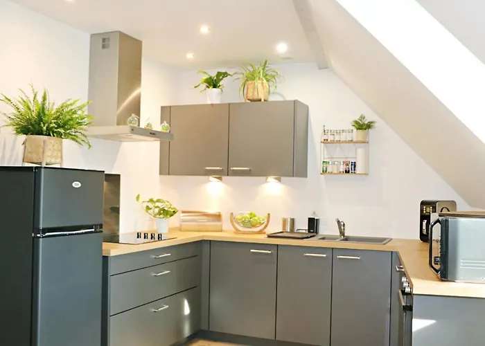 La Pause Gourmande Charme Et Confort Au Centre Apartment Molsheim