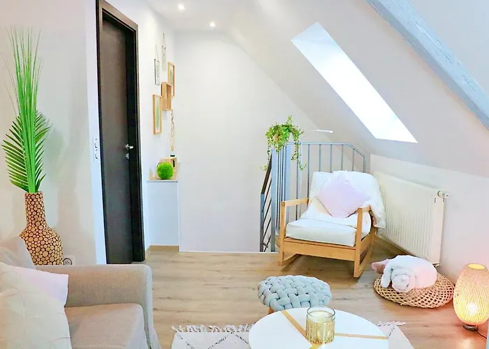 La Pause Gourmande Charme Et Confort Au Centre Apartment Molsheim