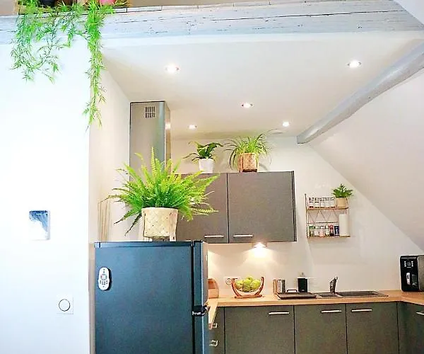 Apartment La Pause Gourmande Charme Et Confort Au Centre Molsheim