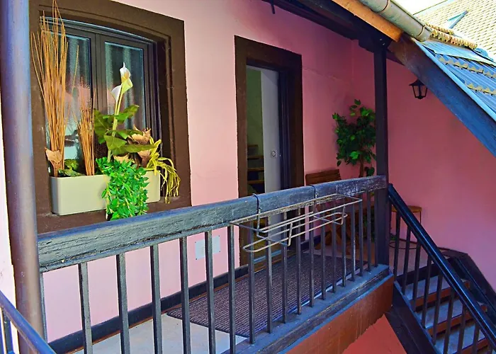 La Pause Gourmande Charme Et Confort Au Centre Apartment